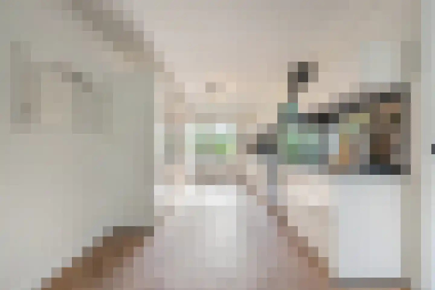 Schout 5 Assendelft thumbnail 9
