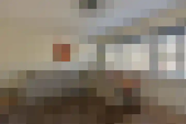 Schout 5 Hoorn thumbnail 11