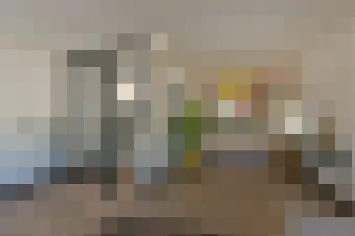 Schout 5 Hoorn thumbnail 13