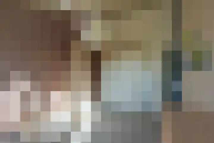 Schout 5 Hoorn thumbnail 15