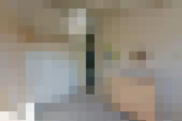 Schout 5 Hoorn thumbnail 16