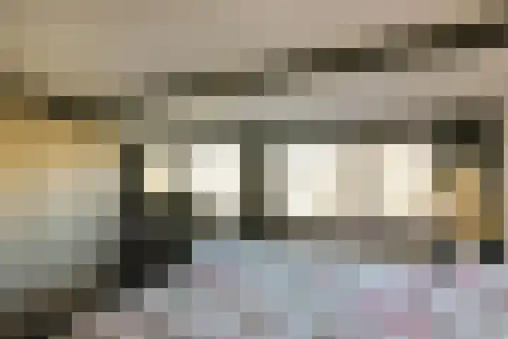 Schout 5 Hoorn thumbnail 20