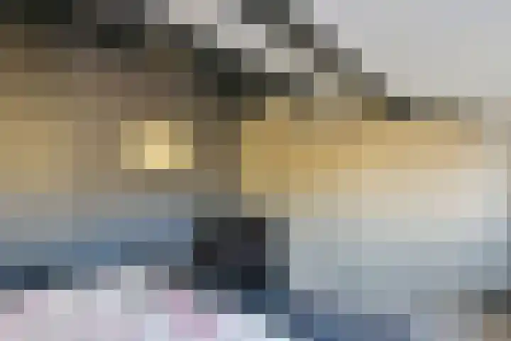 Schout 5 Hoorn thumbnail 21