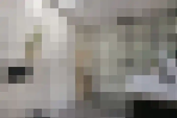 Schout 5 Hoorn thumbnail 22