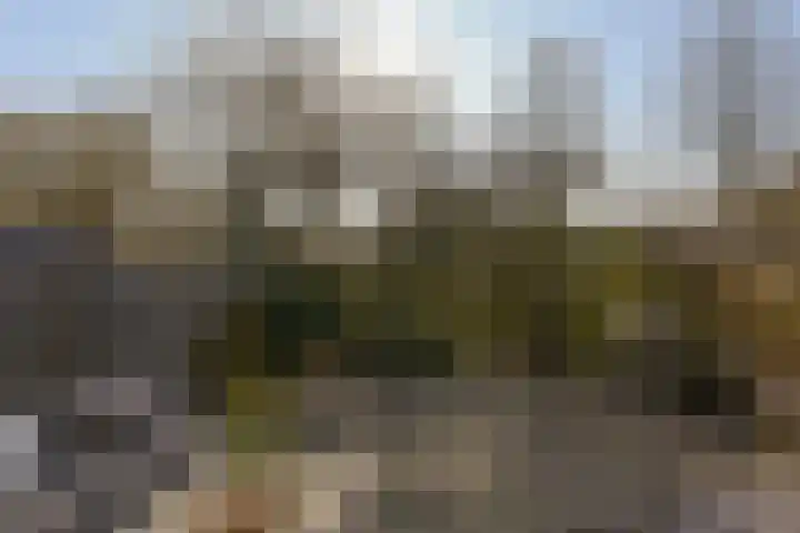 Schout 5 Hoorn thumbnail 26