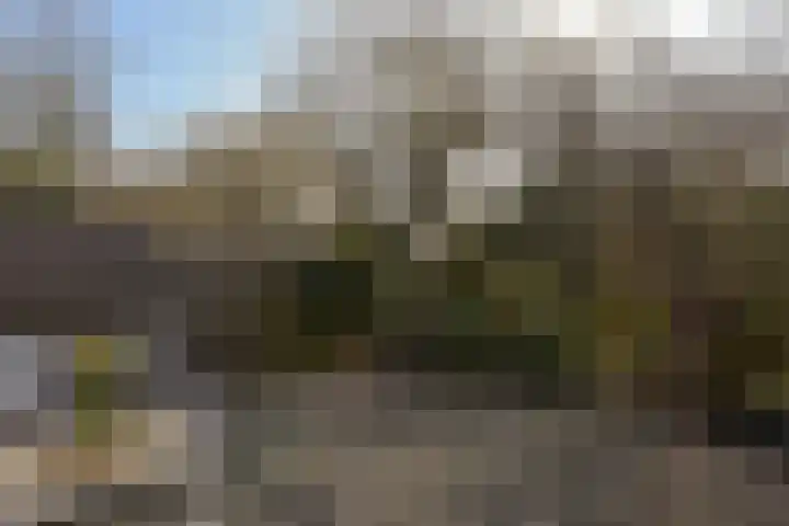 Schout 5 Hoorn thumbnail 27
