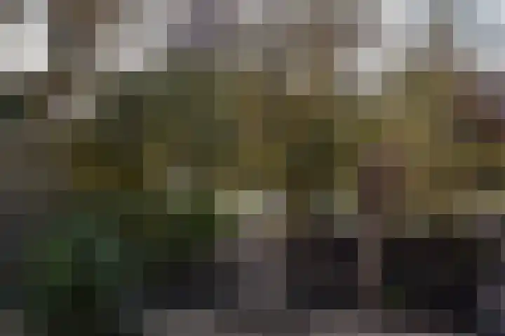 Schout 5 Hoorn thumbnail 28