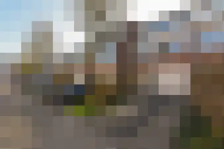 Schout 5 Hoorn thumbnail 31