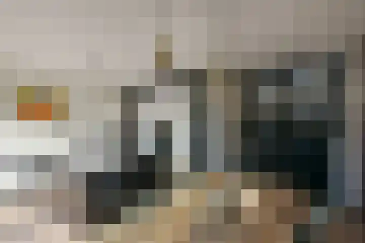 Schout 5 Hoorn thumbnail 4