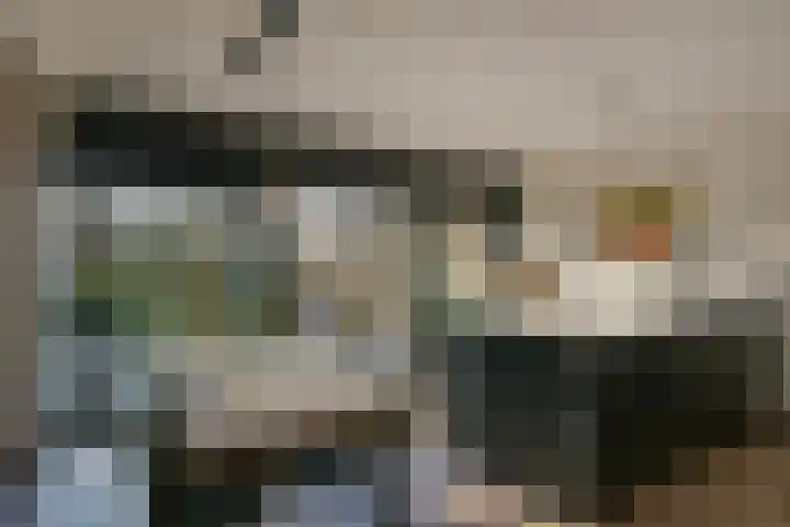 Schout 5 Hoorn thumbnail 5