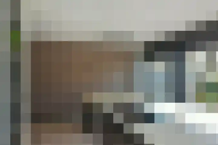 Schout 5 Hoorn thumbnail 6