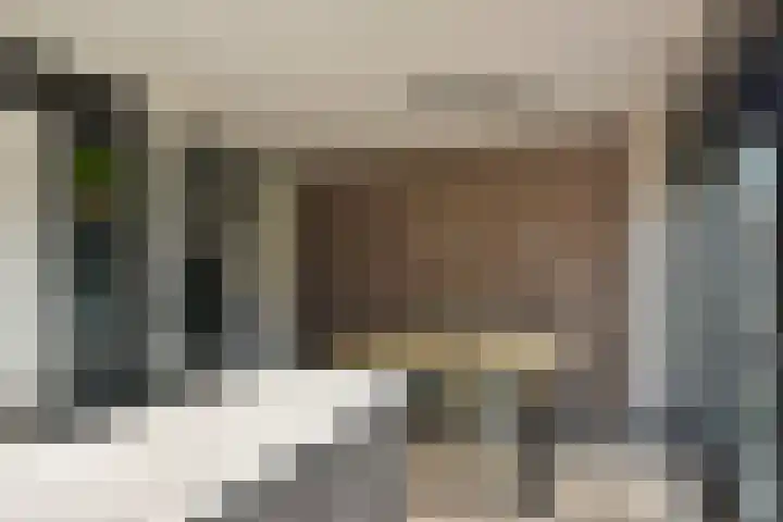 Schout 5 Hoorn thumbnail 7
