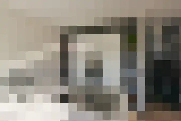 Schout 5 Hoorn thumbnail 8