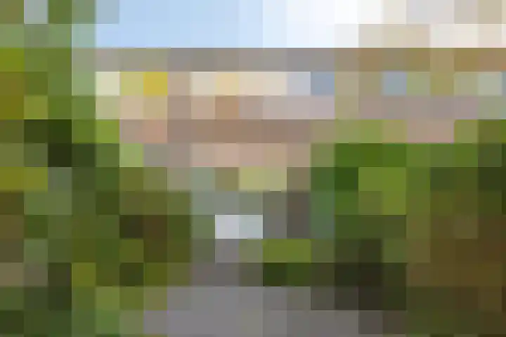 Schout 62 Hoorn thumbnail 16