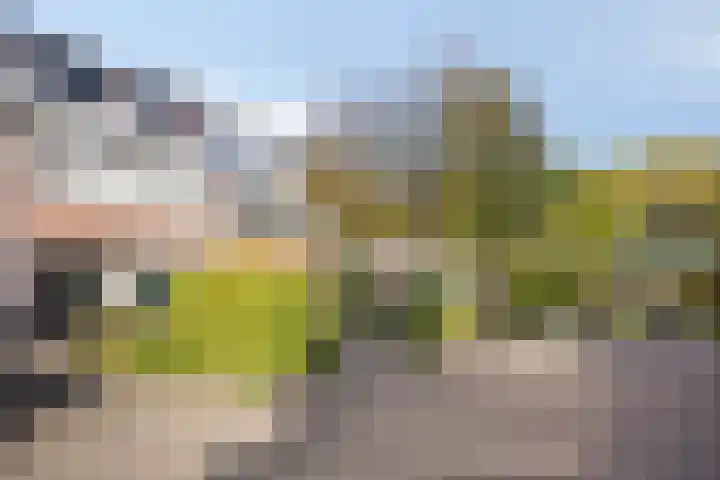 Schout 62 Hoorn thumbnail 17