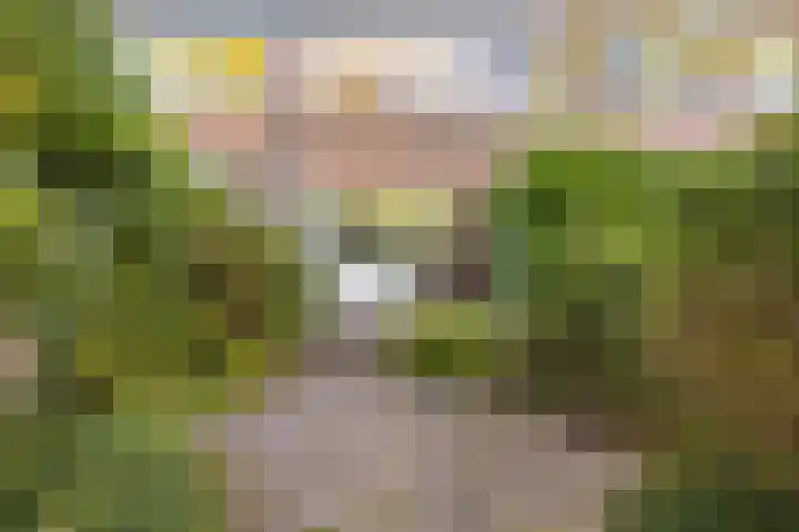 Schout 62 Hoorn thumbnail 5