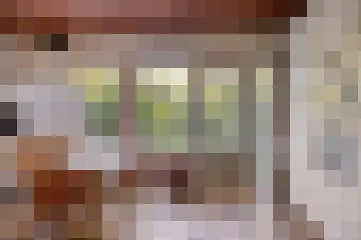 Schout 62 Hoorn thumbnail 7