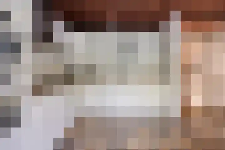 Schout 62 Hoorn thumbnail 8