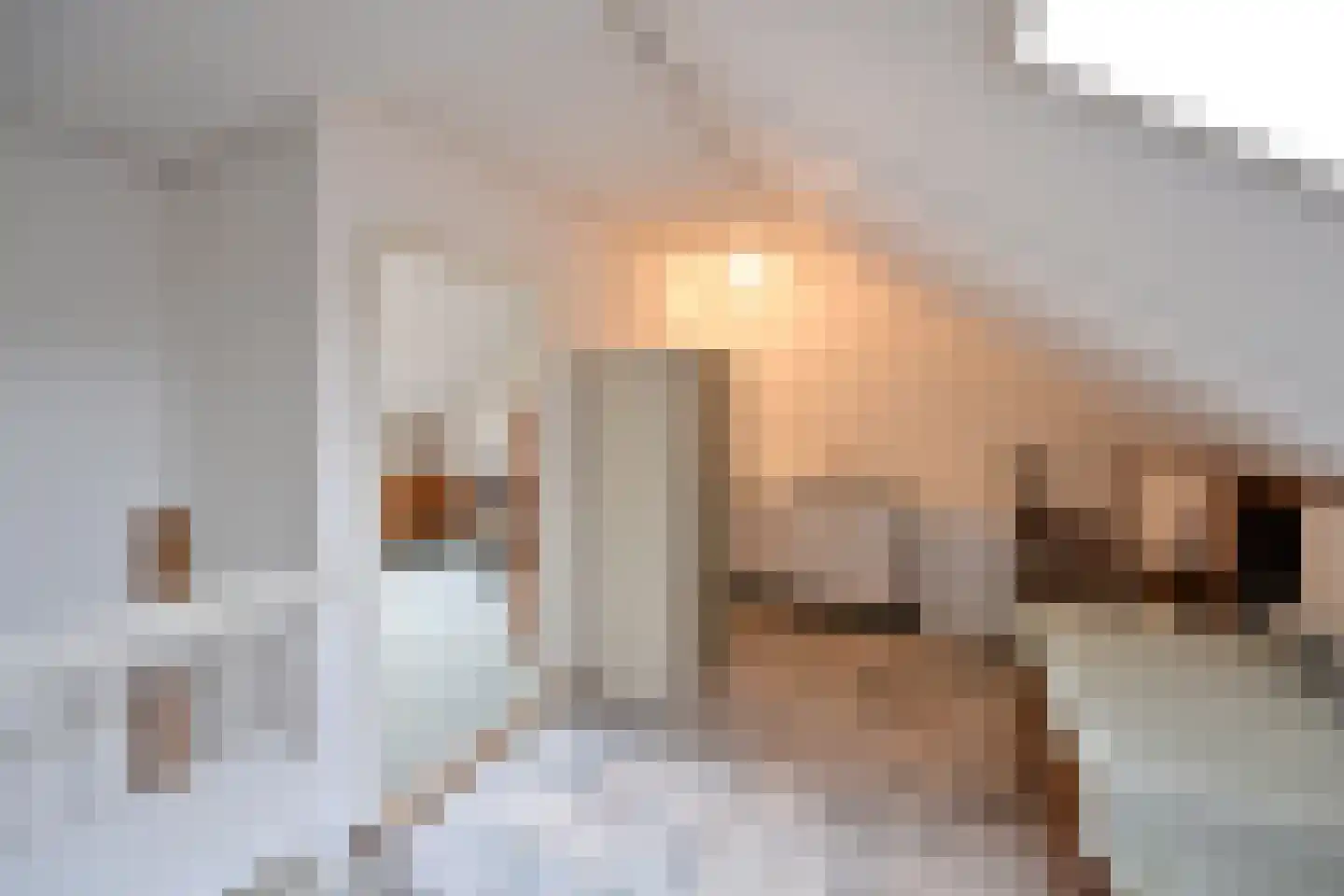 Schout 95 Naarden thumbnail 13