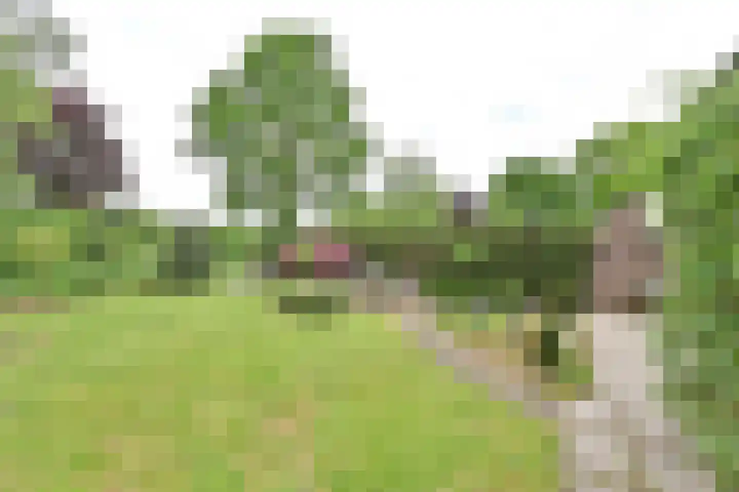 Schout 95 Naarden thumbnail 16