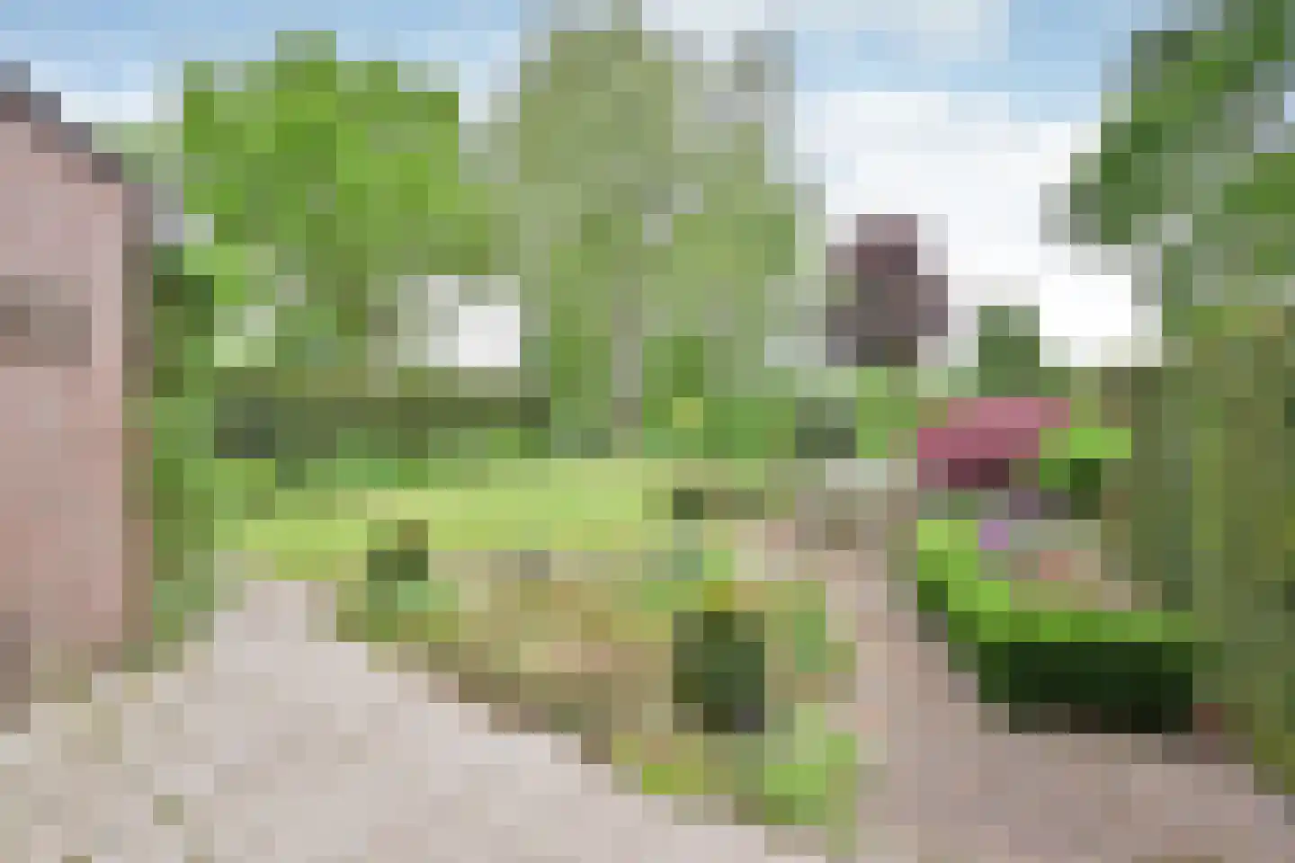 Schout 95 Naarden thumbnail 17