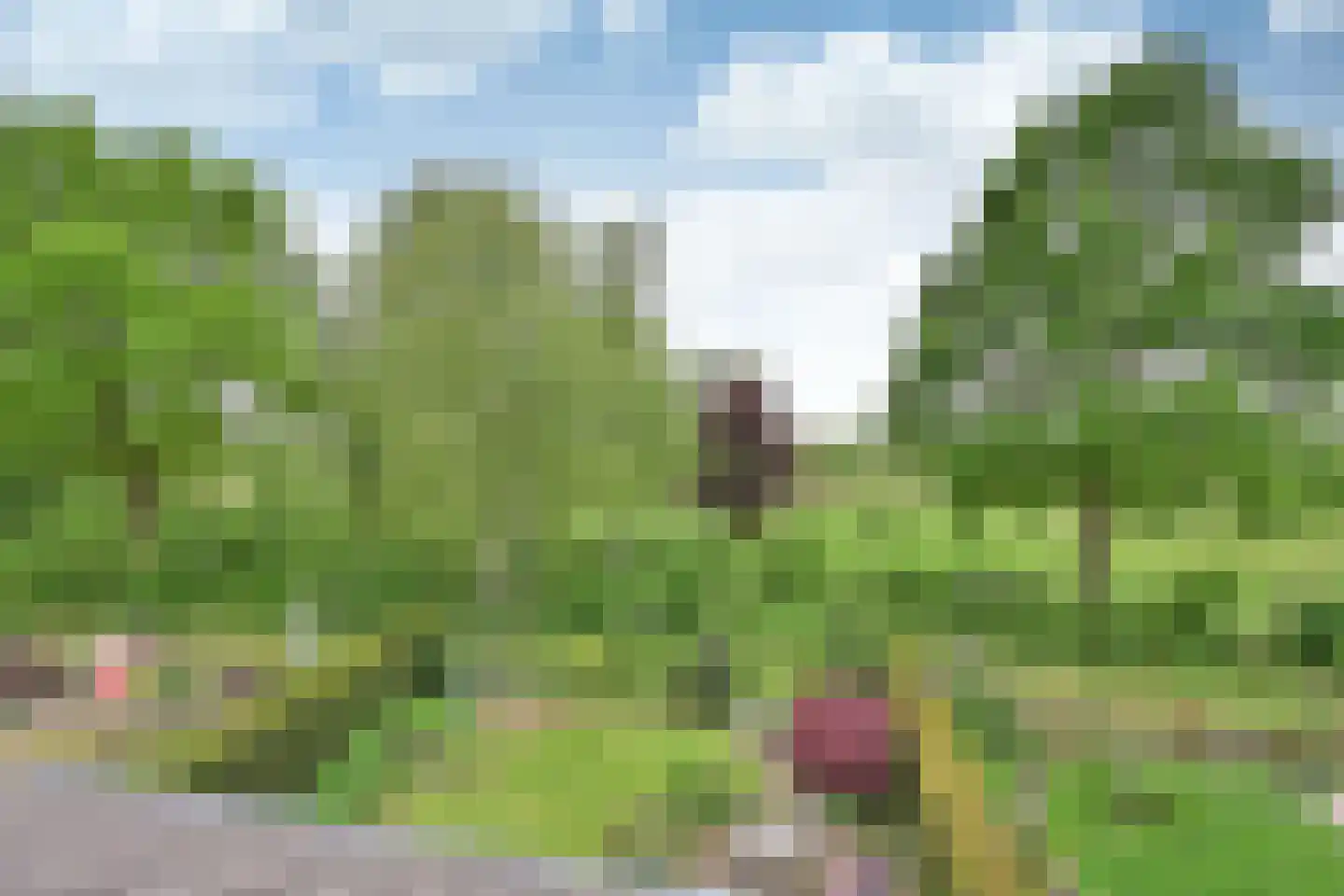 Schout 95 Naarden thumbnail 18