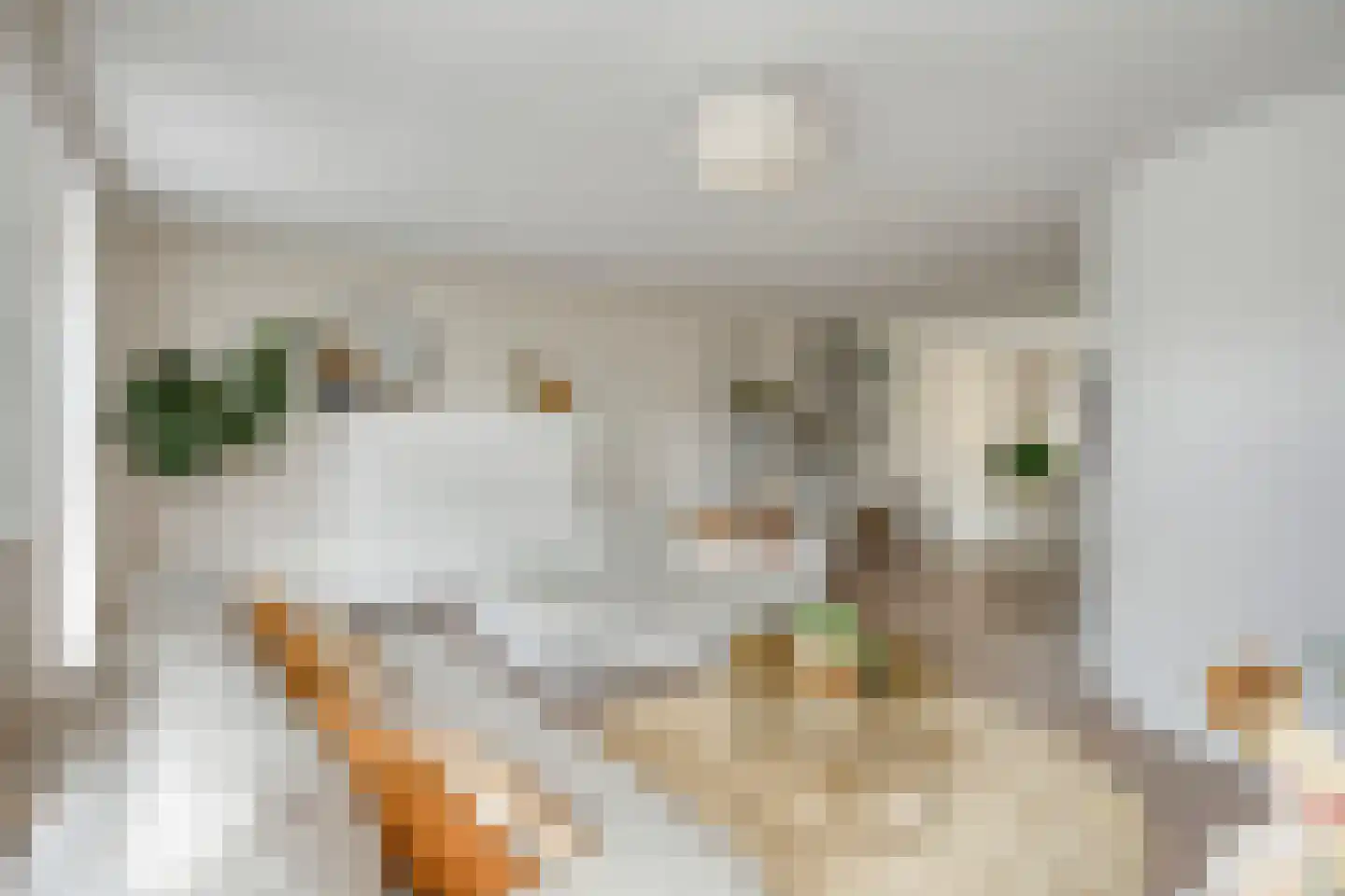Schout Appelslaan 18 Nuenen thumbnail 15