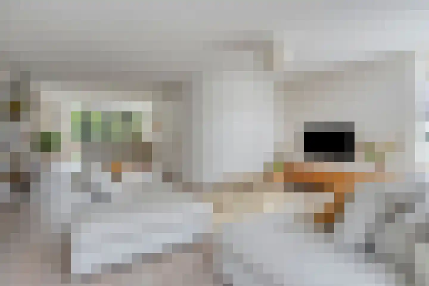 Schout Appelslaan 18 Nuenen thumbnail 16
