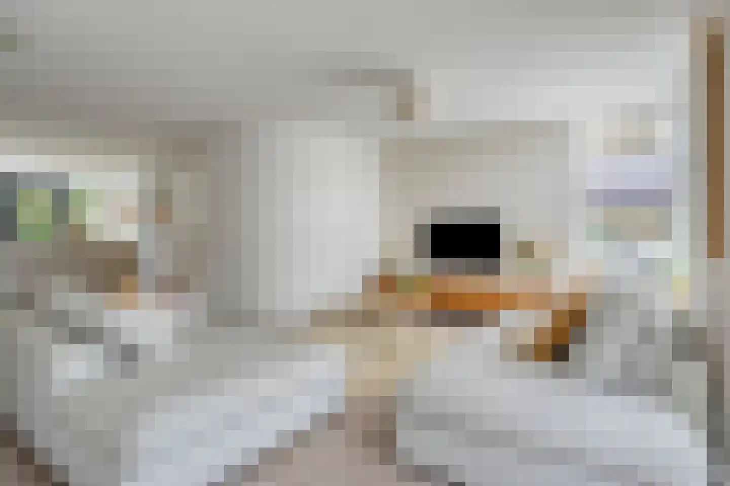 Schout Appelslaan 18 Nuenen thumbnail 17