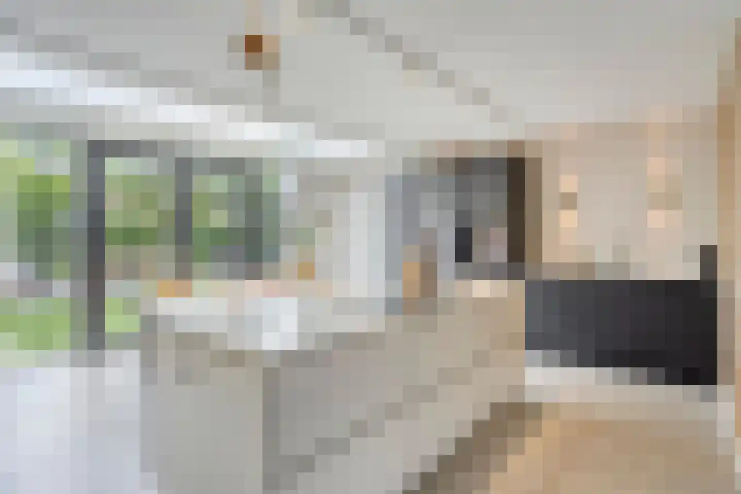 Schout Appelslaan 18 Nuenen thumbnail 19