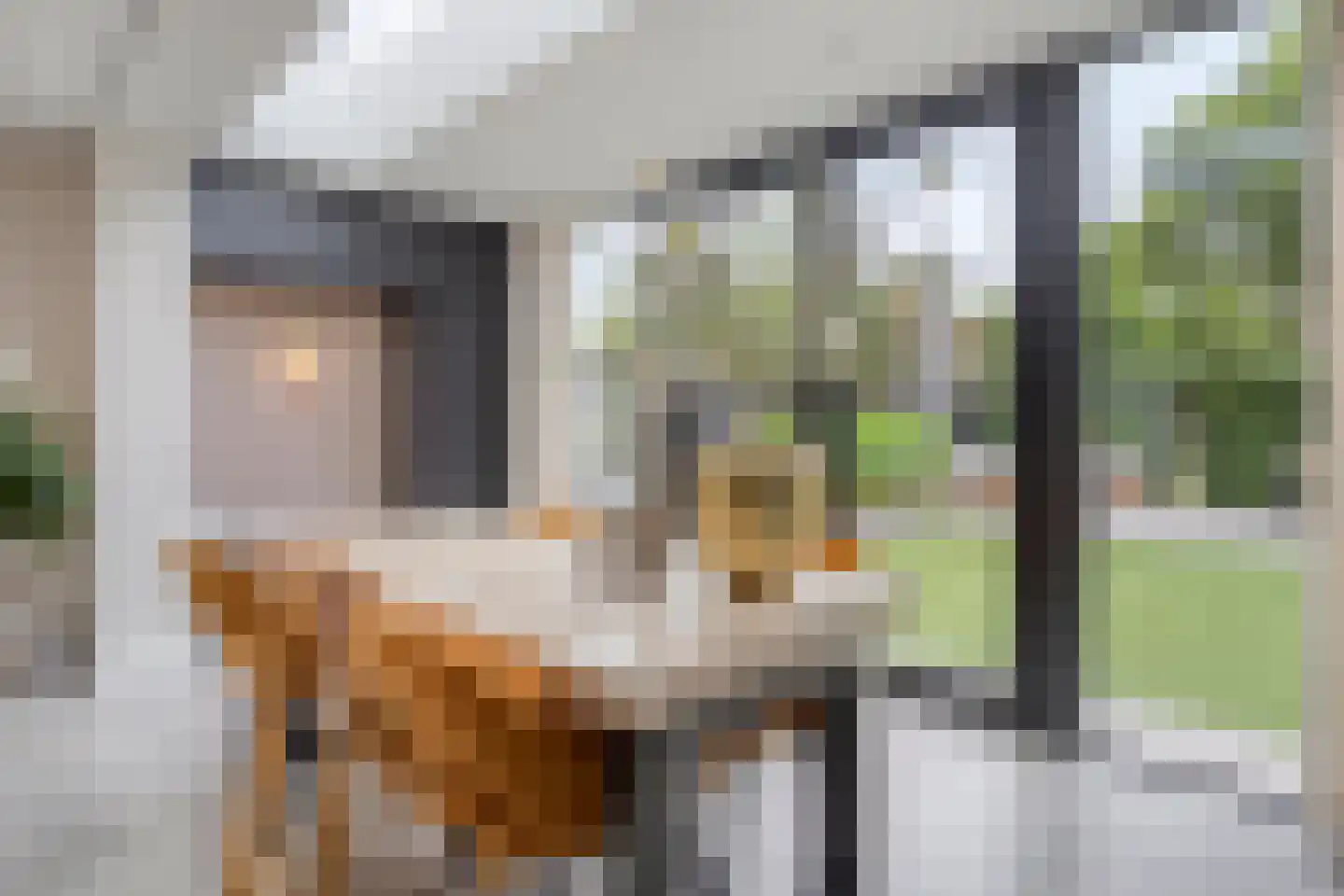 Schout Appelslaan 18 Nuenen thumbnail 22