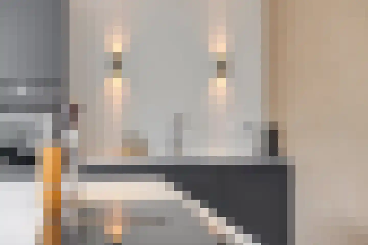 Schout Appelslaan 18 Nuenen thumbnail 26