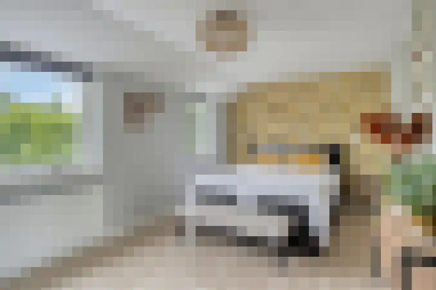 Schout Appelslaan 18 Nuenen thumbnail 4