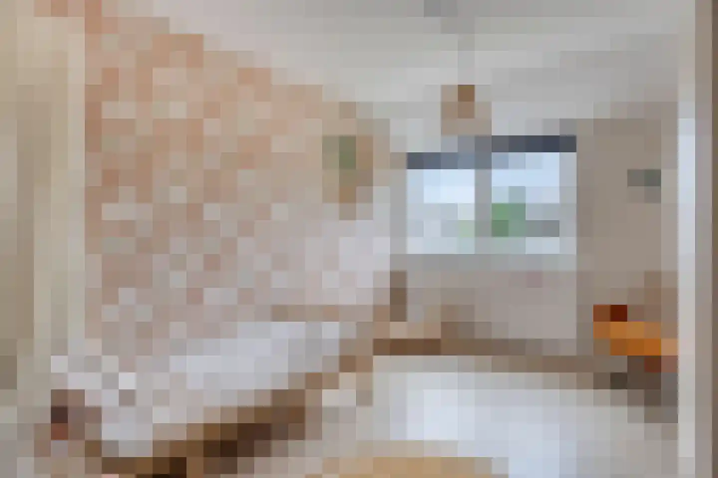 Schout Appelslaan 18 Nuenen thumbnail 54