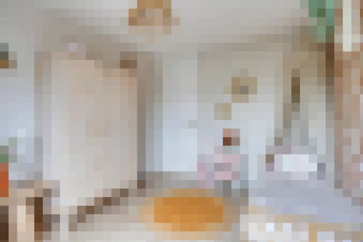 Schout Appelslaan 18 Nuenen thumbnail 55