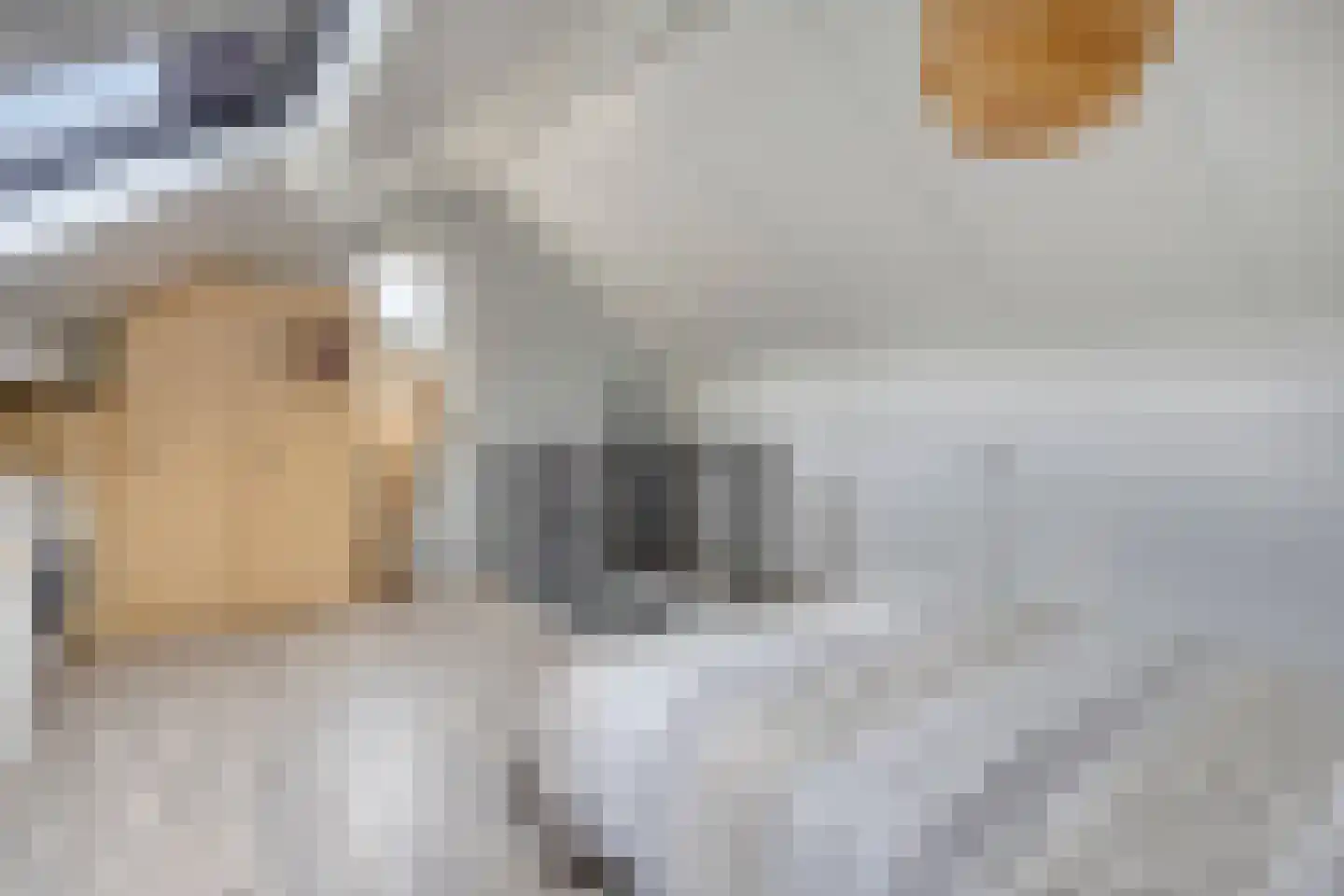 Schout Appelslaan 18 Nuenen thumbnail 57