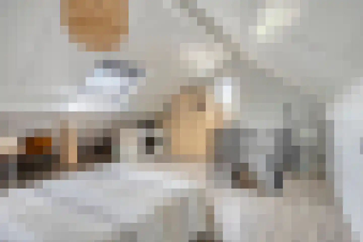 Schout Appelslaan 18 Nuenen thumbnail 58