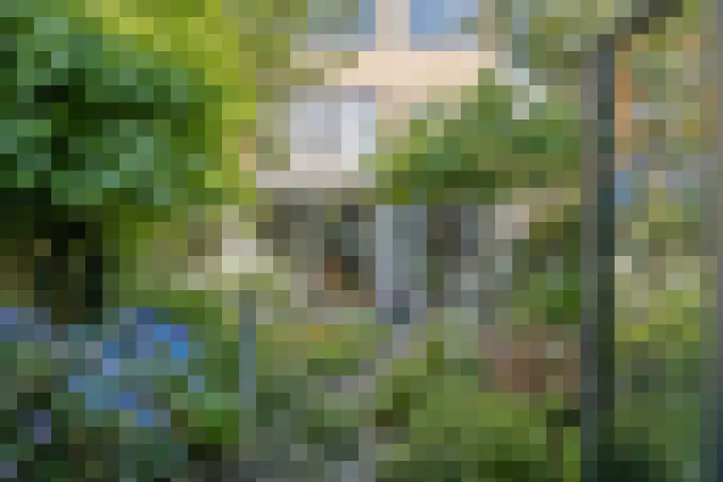 Schout Backstraat 14 Tilburg thumbnail 19