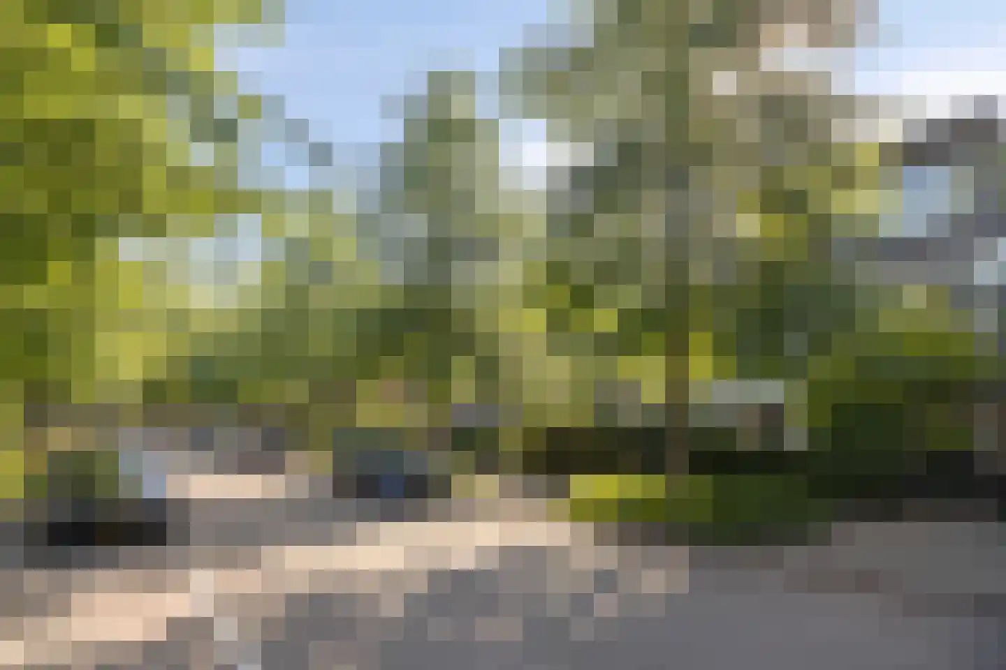 Schout Backstraat 14 Tilburg thumbnail 21