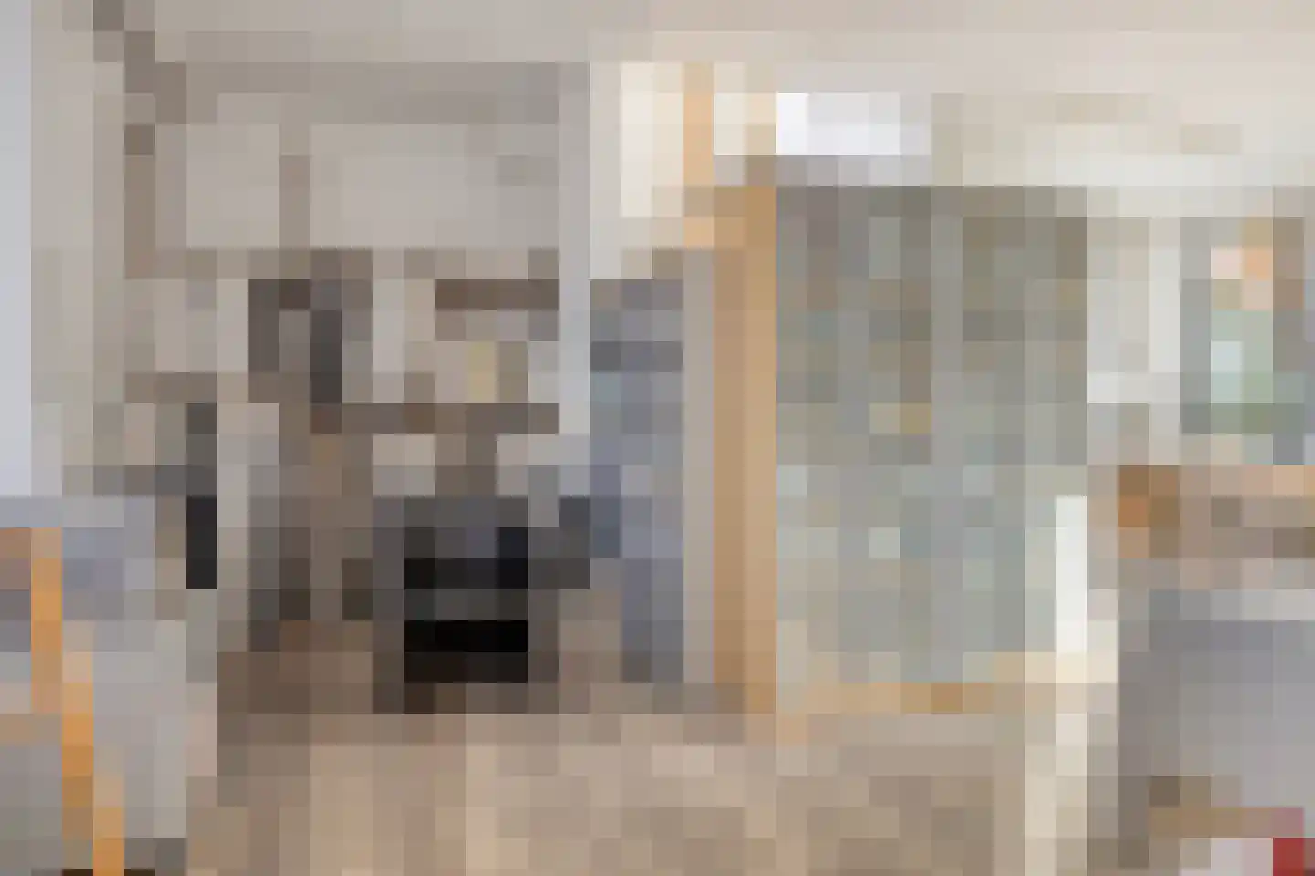 Schout Backstraat 14 Tilburg thumbnail 32