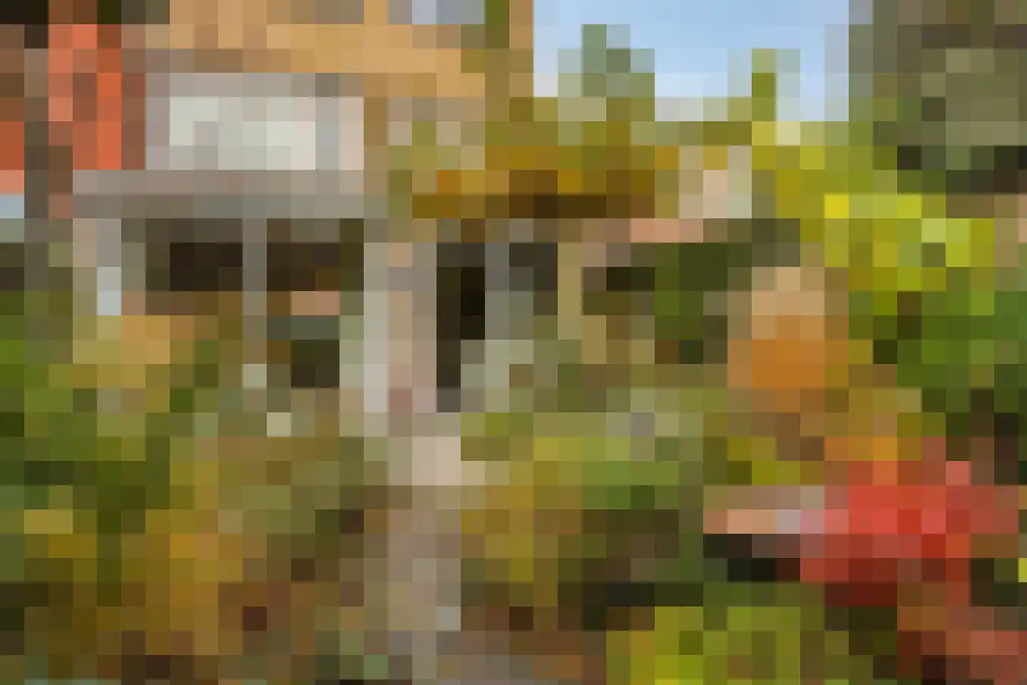 Schout Backstraat 14 Tilburg thumbnail 35