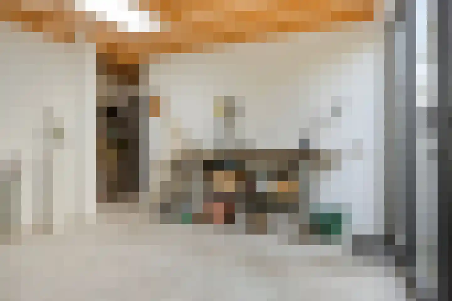Schout Backstraat 14 Tilburg thumbnail 39