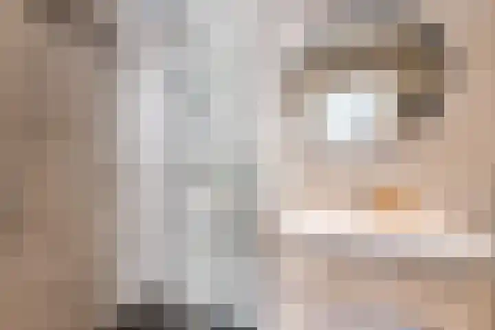 Schout Backstraat 18 Tilburg thumbnail 20