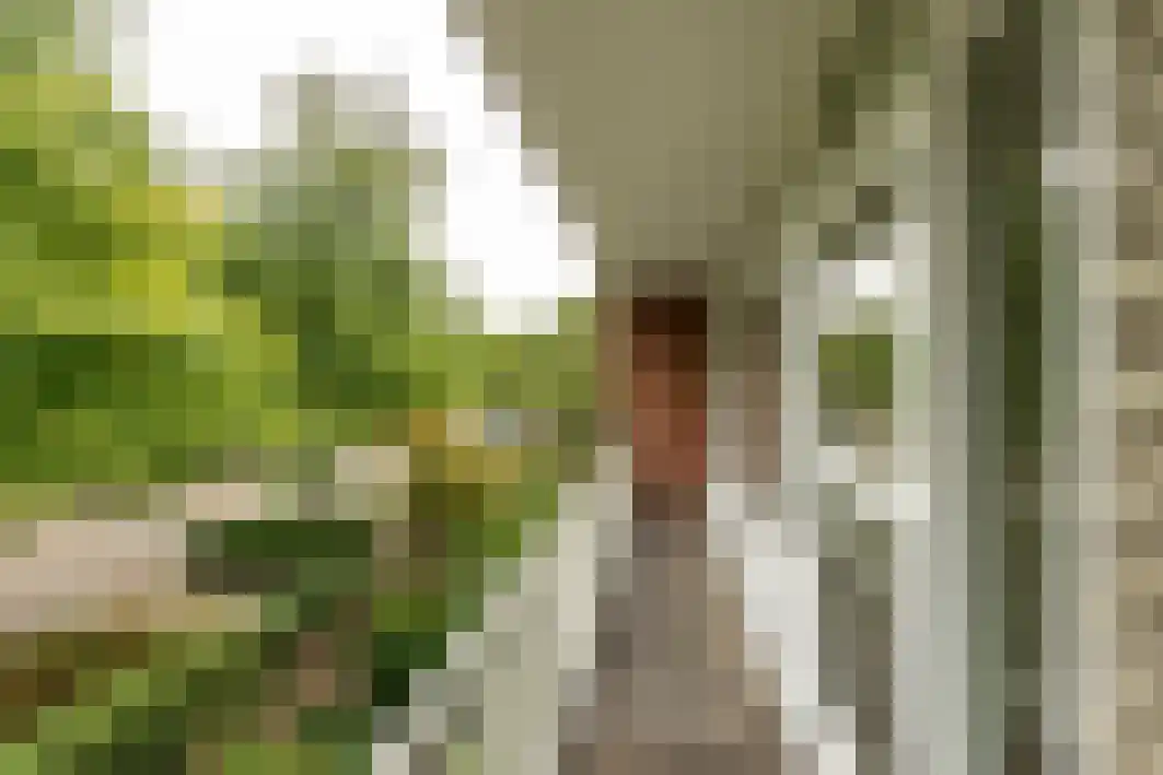 Schout Backstraat 34 Tilburg thumbnail 22