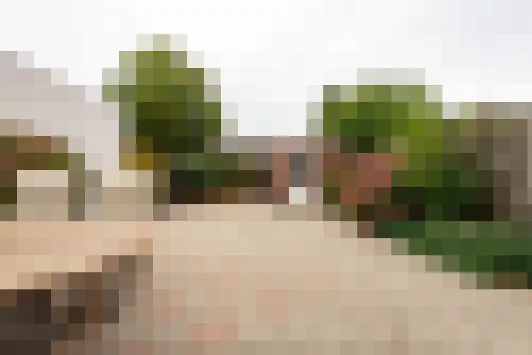 Schout Backstraat 34 Tilburg thumbnail 36