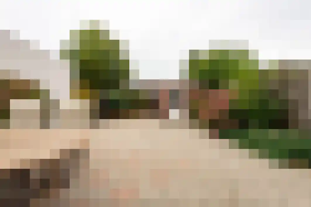 Schout Backstraat 34 Tilburg thumbnail 4