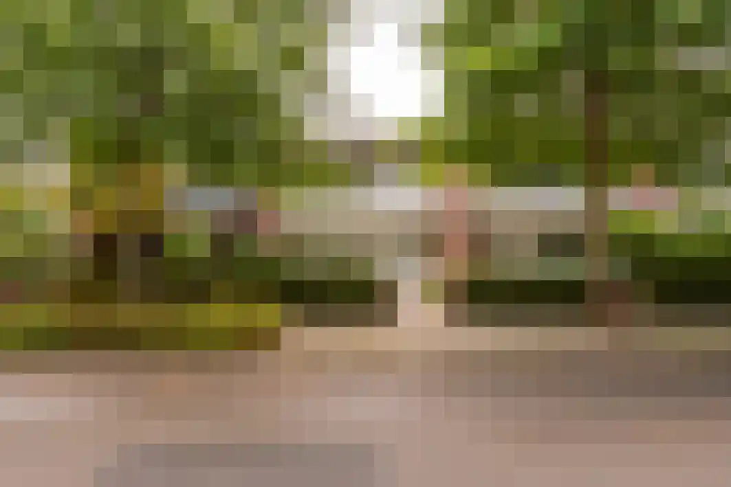 Schout Backstraat 34 Tilburg thumbnail 6