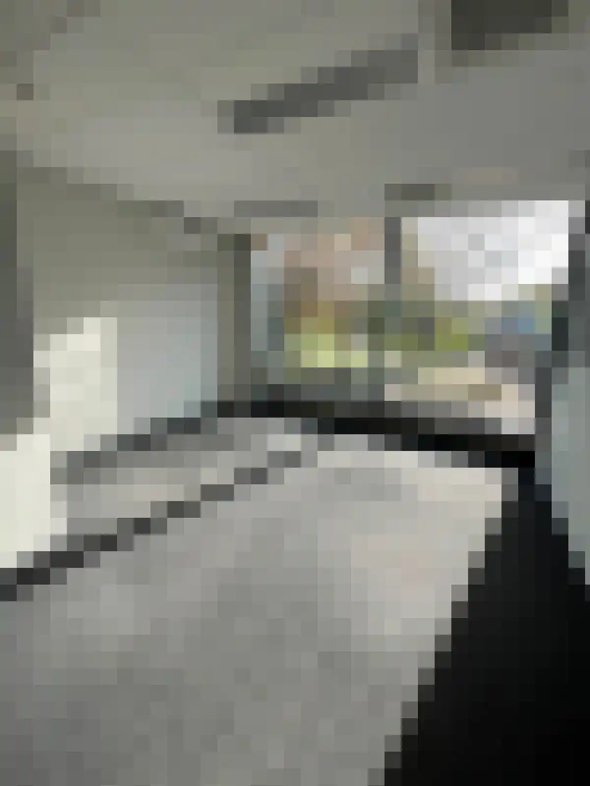 Schout Backstraat Tilburg thumbnail 4