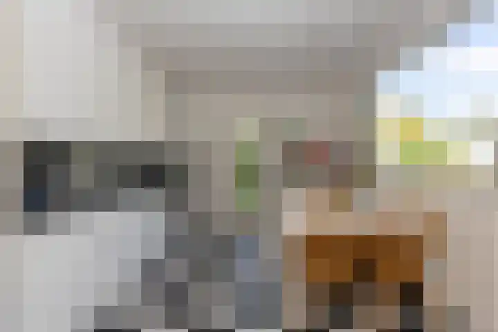 Schout Beyhartsstraat 6 Oisterwijk thumbnail 12