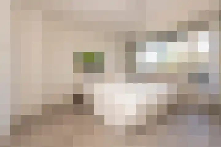 Schout Beyhartsstraat 6 Oisterwijk thumbnail 21